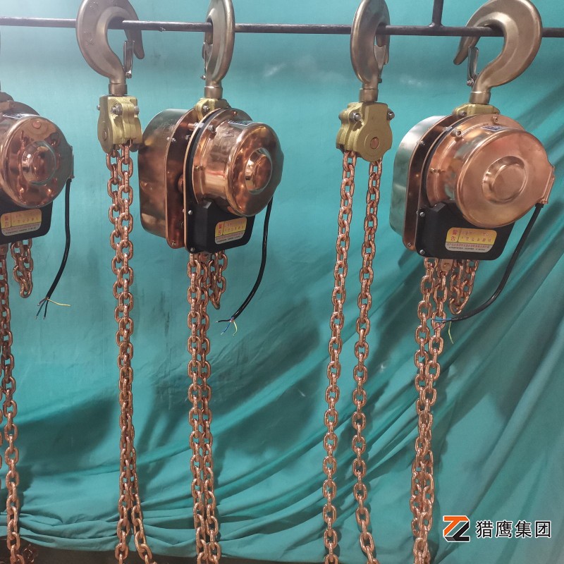 安全高效的起重設(shè)備——電動(dòng)防爆葫蘆解析